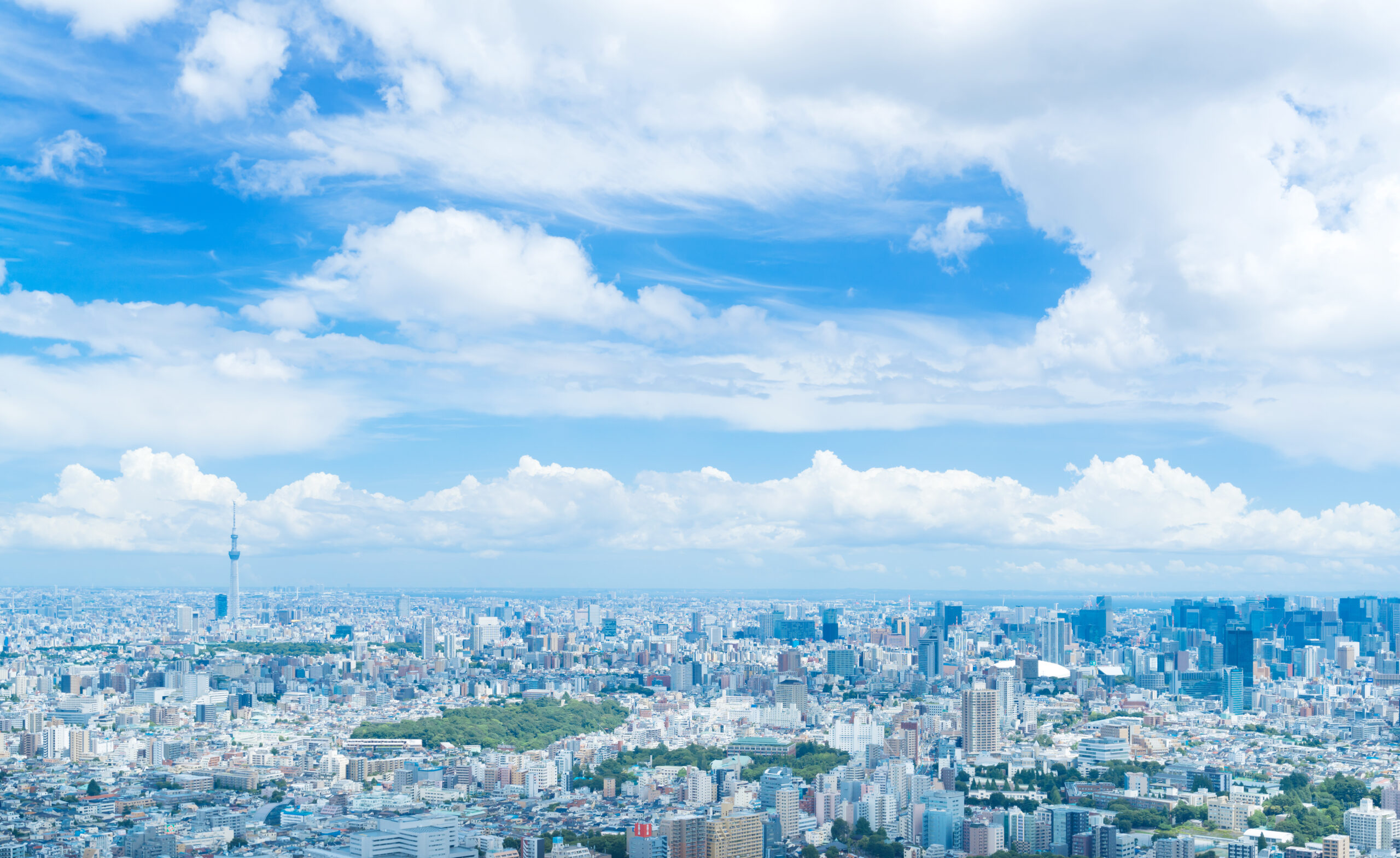 地球の上の東京のあたり